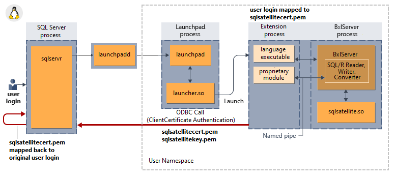 SQL Server Security Scripts